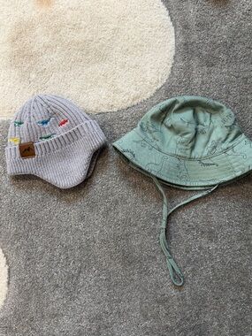 Gray Knit Earflap Beanie & Sage Dino Bucket Hat Set